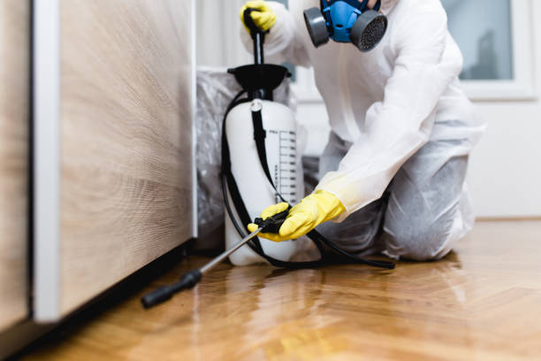 Best Rat Extermination Near Me  in Hillside Lake, NY
