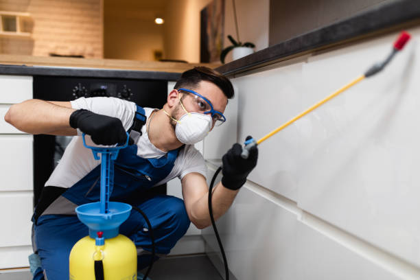 Best Pest Inspection Near Me  in Hillside Lake, NY