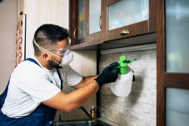 Best Mosquito Control Services  in Hillside Lake, NY