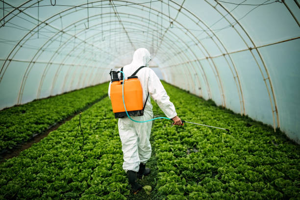 Best Affordable Pest Control Services  in Hillside Lake, NY