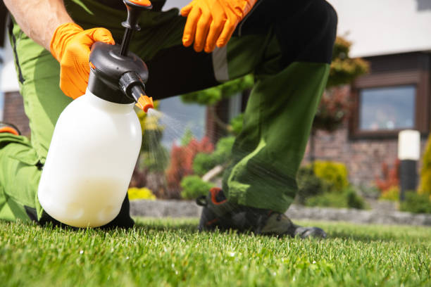 Reliable Hillside Lake, NY Pest Control Solutions