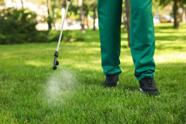 Best Ant Control Services  in Hillside Lake, NY