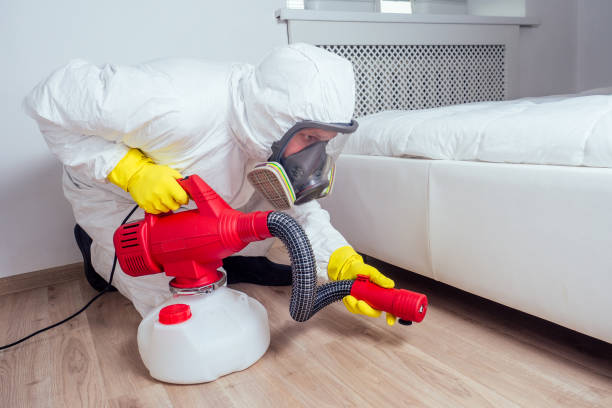 Best Best Pest Control Companies  in Hillside Lake, NY