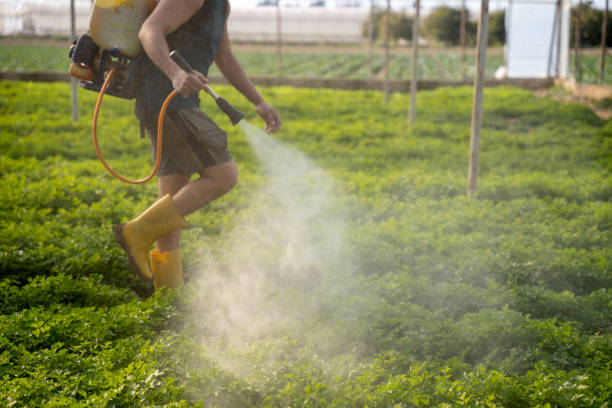 Best Commercial Pest Control Services  in Hillside Lake, NY