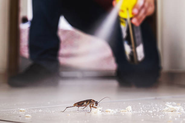Wildlife Control Services in Hillside Lake, NY