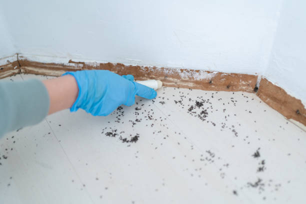 Best Pest Prevention Services  in Hillside Lake, NY